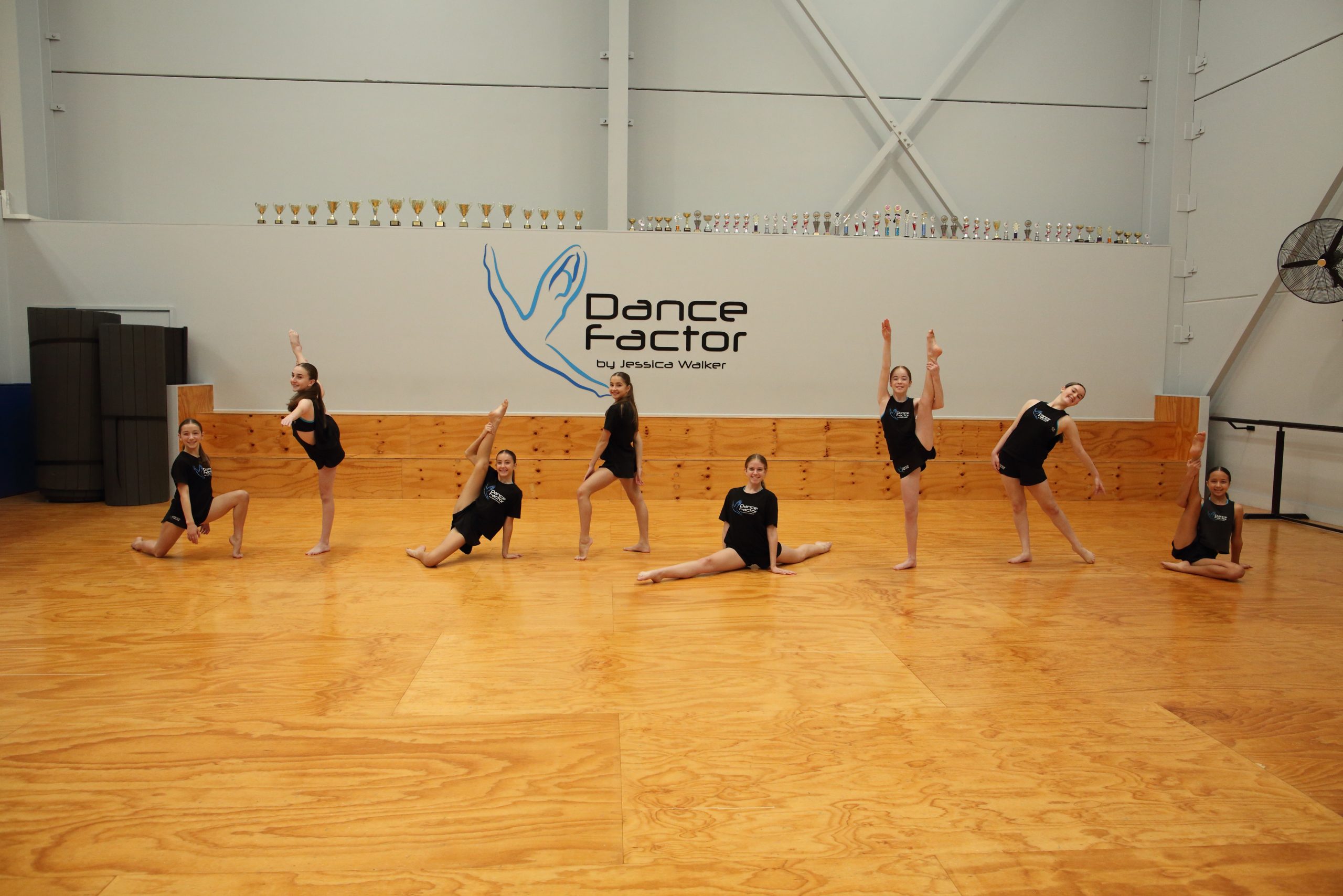 Dance Factor Wollongong Dance Studio Our Classes