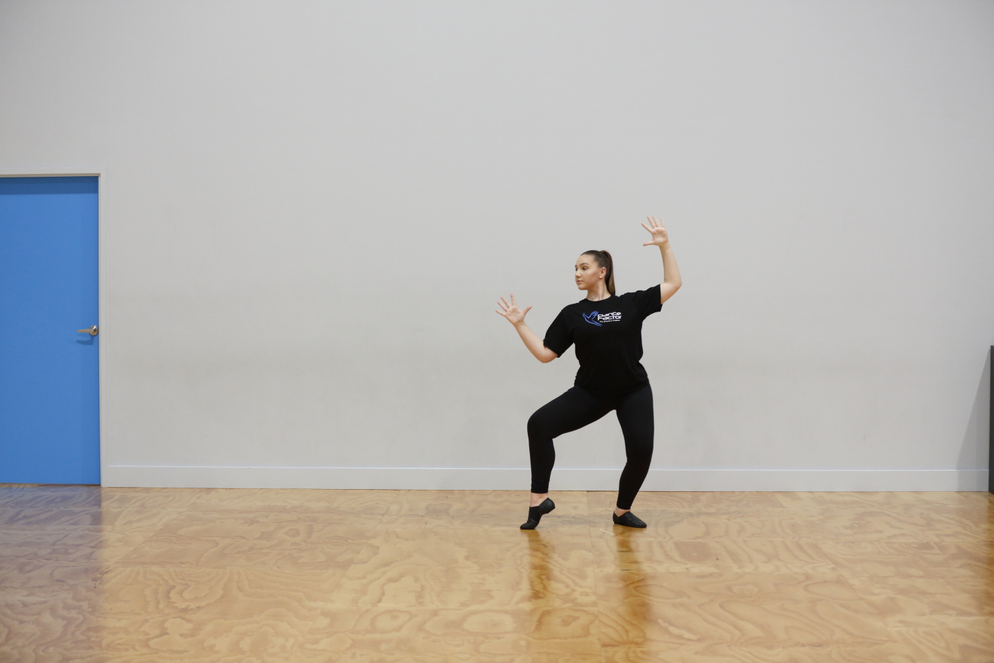 Dance Factor | Wollongong Dance Studio | Style Spotlight: Musical Theatre